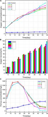Effect of Introduction of Exogenous Strain Acidithiobacillus thiooxidans A01 on Structure and Function of Adsorbed and Planktonic Microbial Consortia During Bioleaching of Low-Grade Copper Sulfide